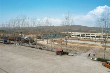 邯鄲永年縣合作項目